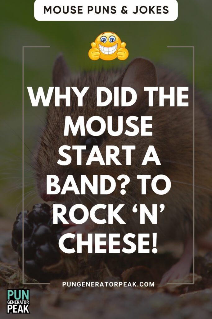 Funny Mouse Puns & Jokes