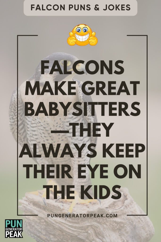 Clever Falcon Puns & Jokes