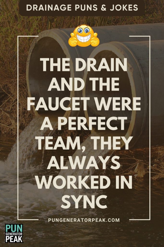 Funny Drainage Puns & Jokes