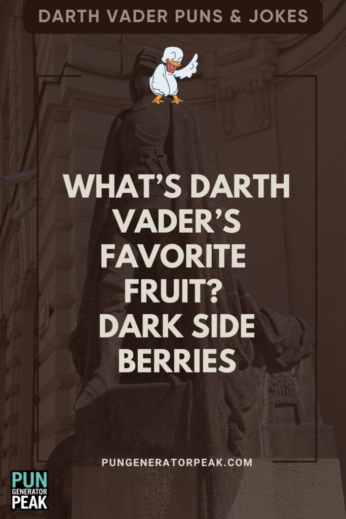 Short Darth Vader Puns & Jokes
