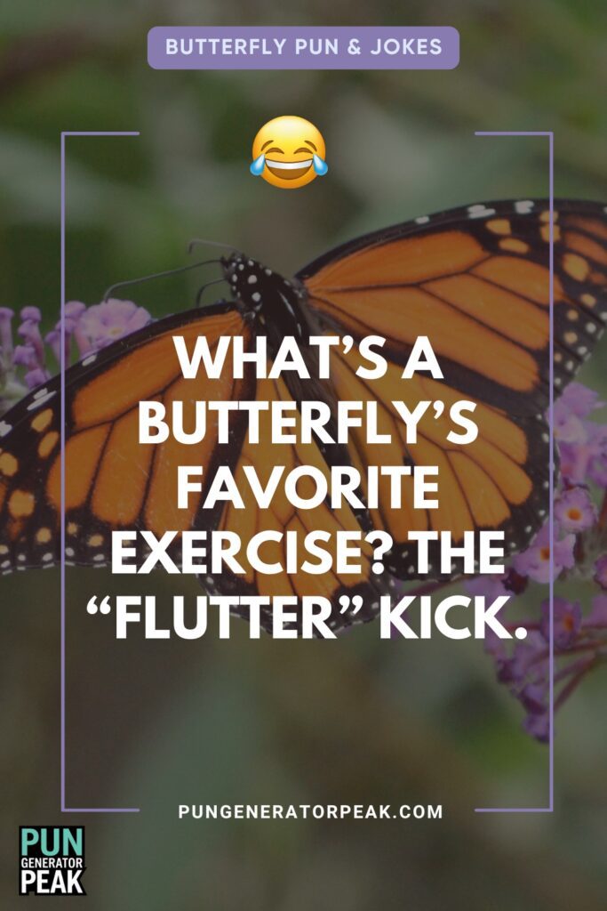 The Best Butterfly Jokes for Kids and Adults