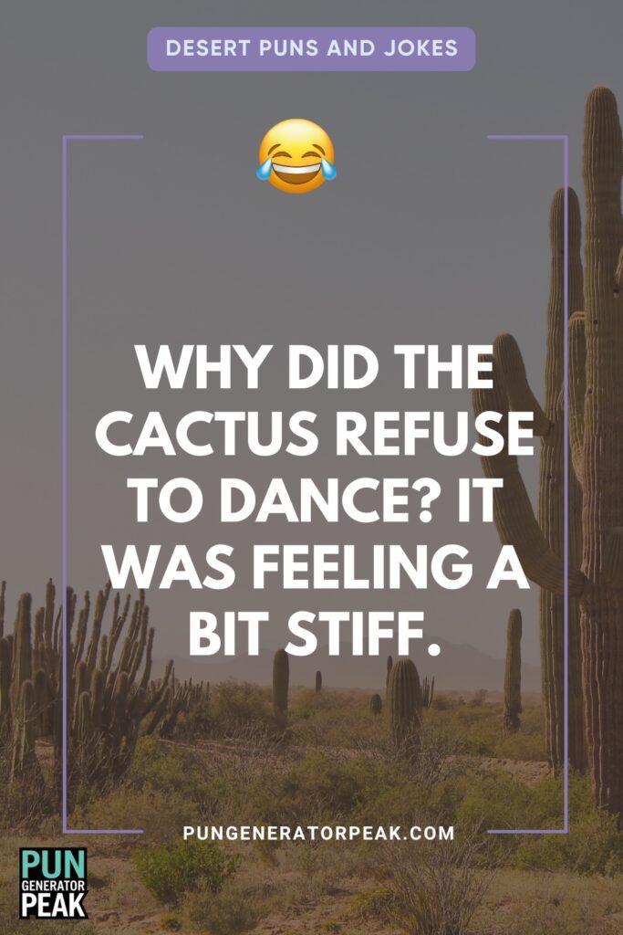 Cactus Puns That Are Sharp and Funny