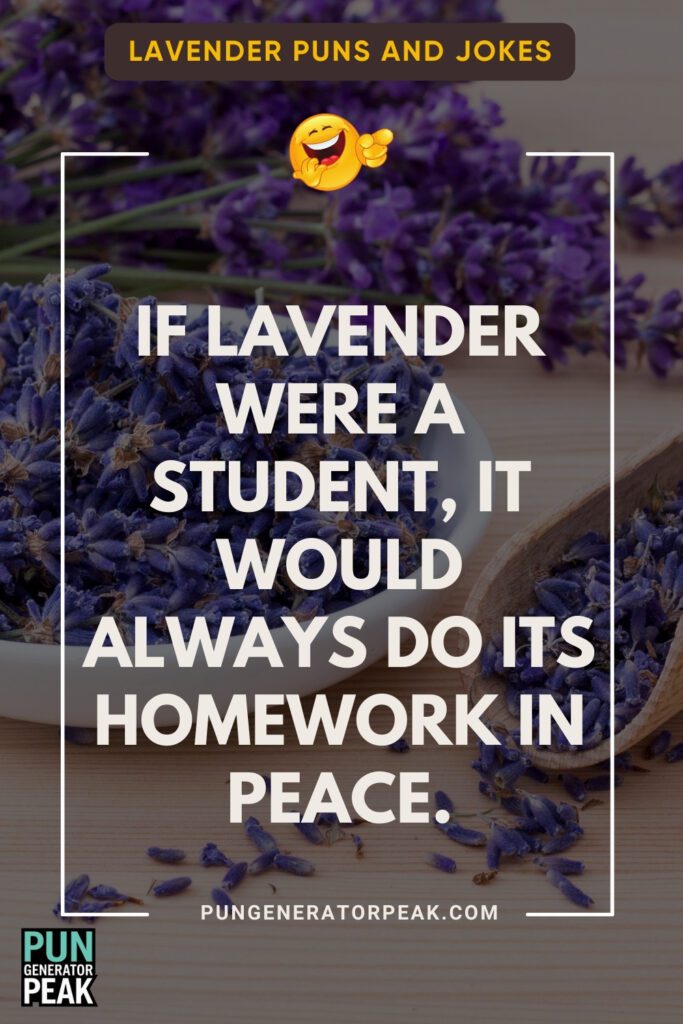 Lavender Jokes for Teachers and Students