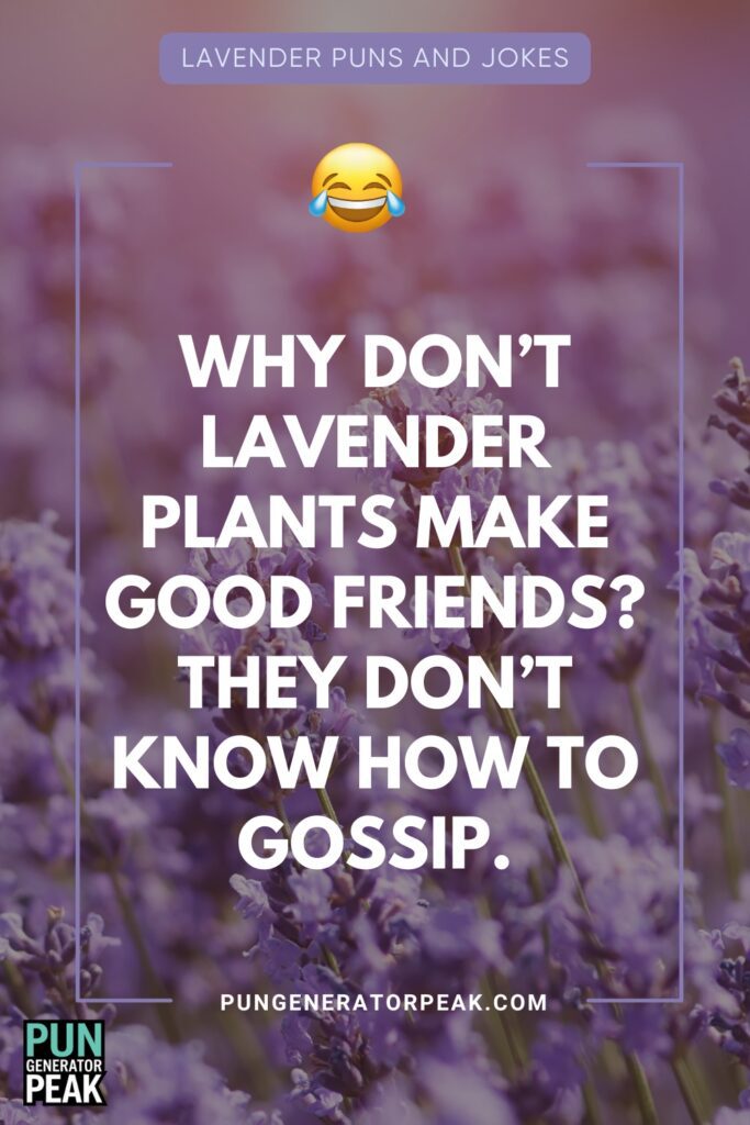 Funny Lavender Jokes for Friends and Family